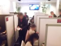ステイズカンパニーレポート画像