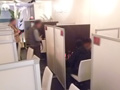 ステイズカンパニーレポート画像