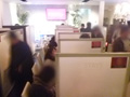 ステイズカンパニーレポート画像